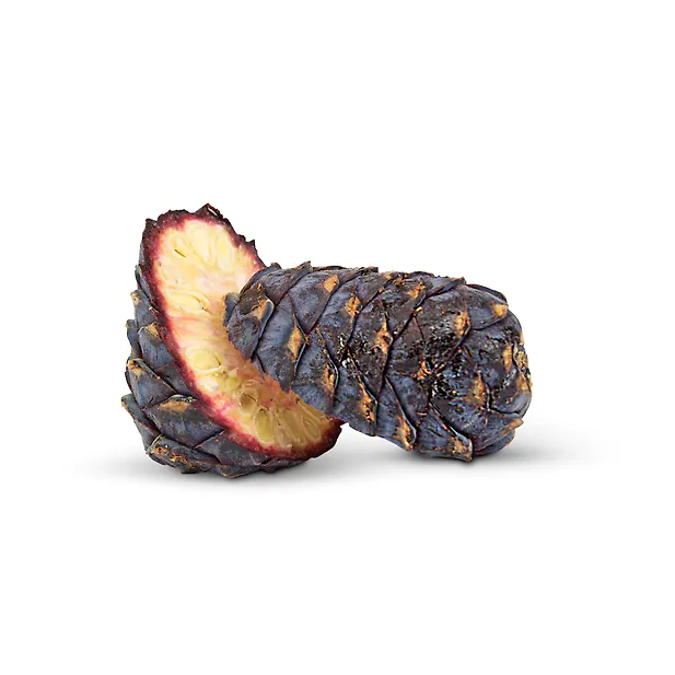 1kg Bio Zirbenzapfen Ernte 2026, frisch gepfl&uuml;ckt | vakuumiert + EINGEFROREN | ca. 14-18 Stk. per Kilo