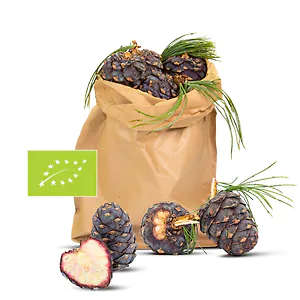 1kg Bio Zirbenzapfen Ernte 2027, B-Ware (2. Wahl), frisch gepfl&uuml;ckt | ca. 14-...