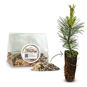 100g ZirbenD&uuml;nger Granulat f&uuml;r Zirbenb&auml;ume  - Pure Zirbenkraft f&uuml;r Wachstum, ...