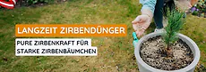 Zirbend&uuml;nger