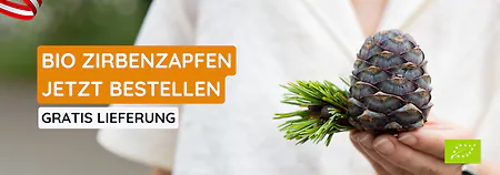 Bio Zirbenzapfen