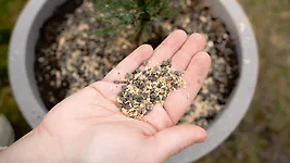 100g ZirbenD&uuml;nger Granulat f&uuml;r Zirbenb&auml;ume  - Pure Zirbenkraft f&uuml;r Wachstum, ...