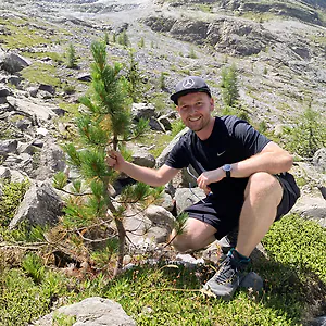 Zirbelkiefer &ndash; alles &uuml;ber den Baum, das Holz und die besondere Welt der Zirbe
