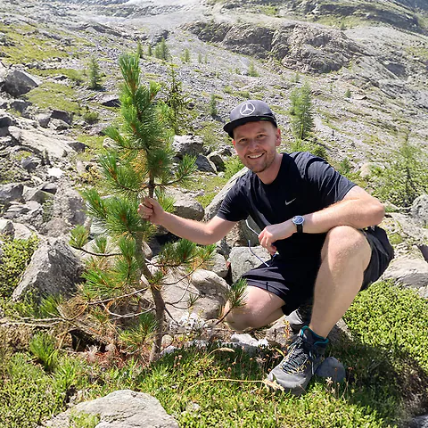 Zirbelkiefer &ndash; alles &uuml;ber den Baum, das Holz und die besondere Welt der Zirbe