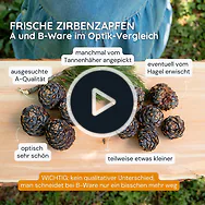 1kg Bio Zirbenzapfen Ernte 2027, B-Ware (2. Wahl), frisch gepfl&uuml;ckt | ca. 14-...