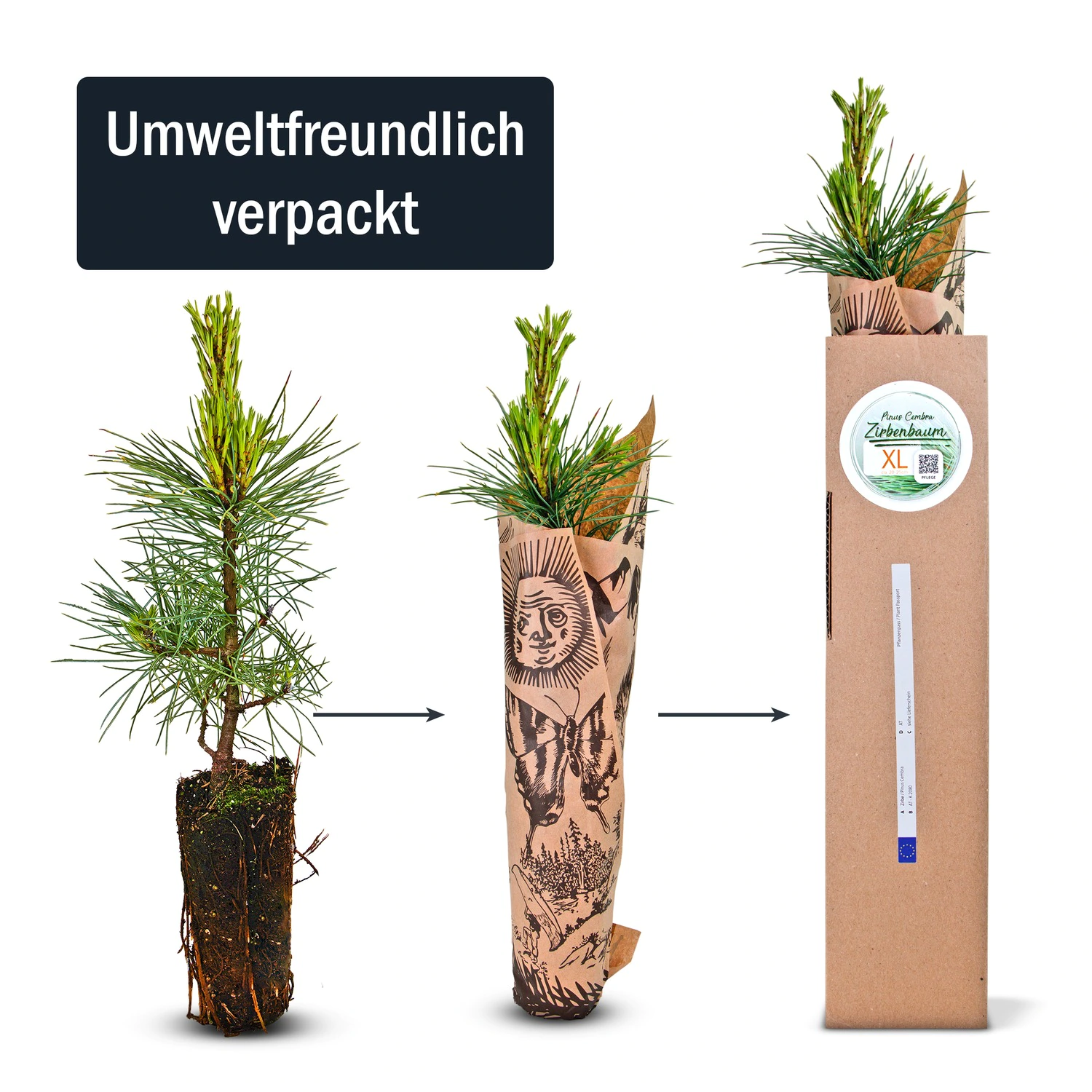 unter dem funkelnden weihnachtsstern Papierstern | Stern aus Papier main image 0