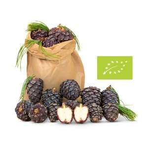 1kg Bio Zirbenzapfen Ernte 2026, frisch gepfl&uuml;ckt | ca. 14-18 Stk. per Kilo