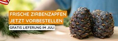 Frische Zirbenzapfen